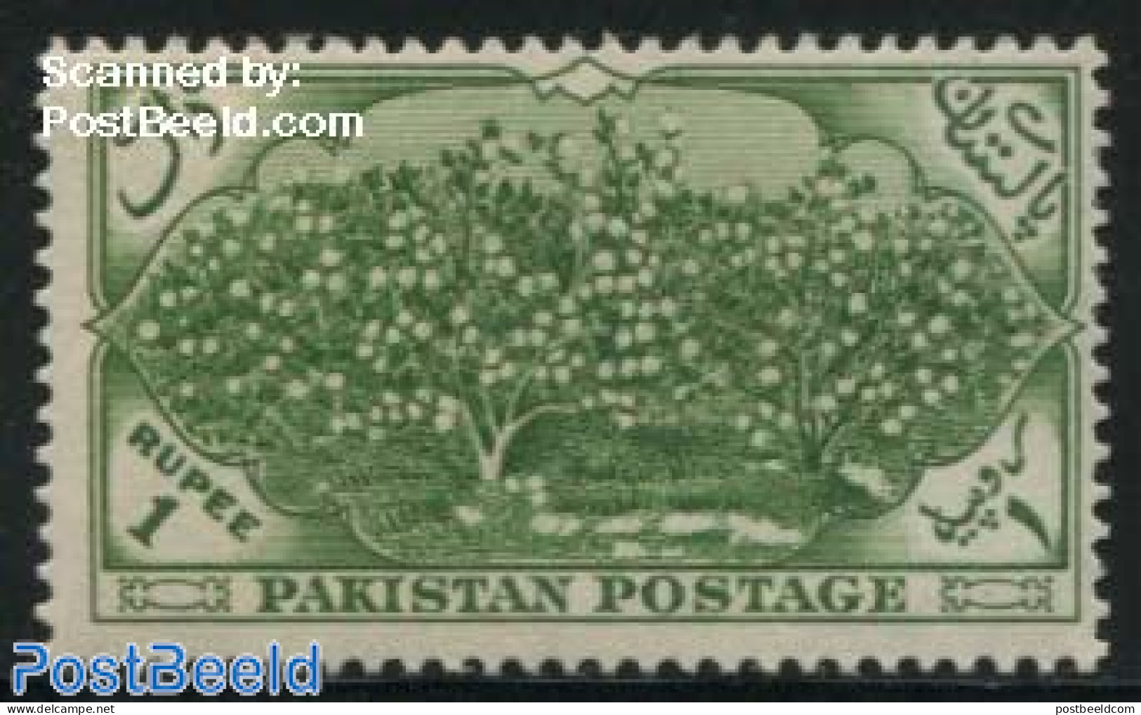 Pakistan 1954 1R, Cotton, Stamp Out Of Set, Mint NH, Various - Agriculture - Textiles - Agriculture