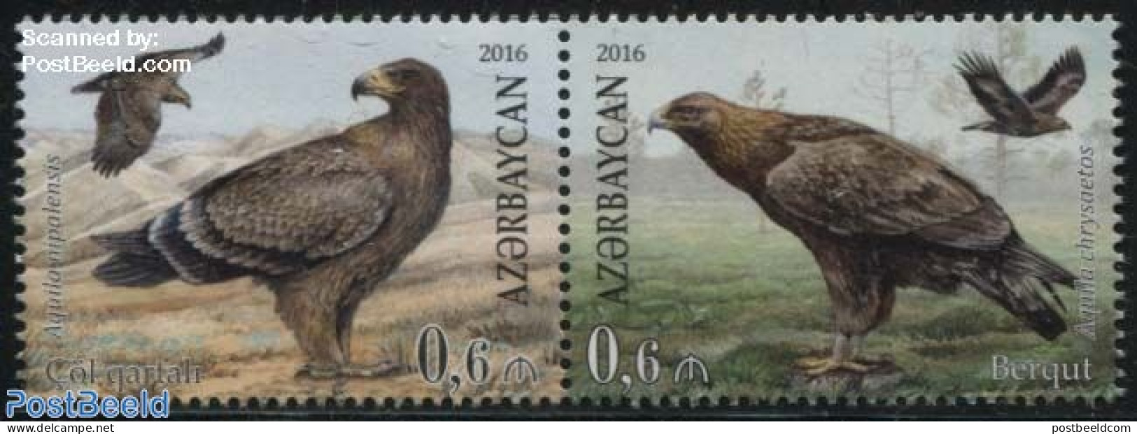 Azerbaijan 2016 Eagles 2v [:], Joint Issue Belarus, Mint NH, Nature - Various - Birds - Birds Of Prey - Joint Issues - Emissions Communes