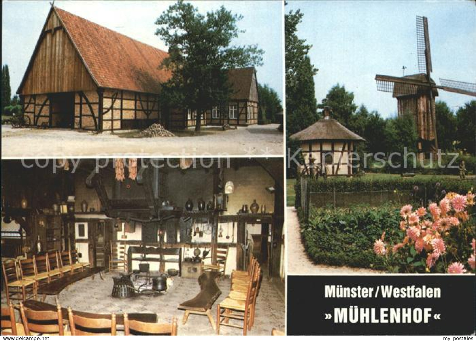 72235369 Muenster Westfalen Muehlenhof Freilichtmuseum Muenster - Muenster