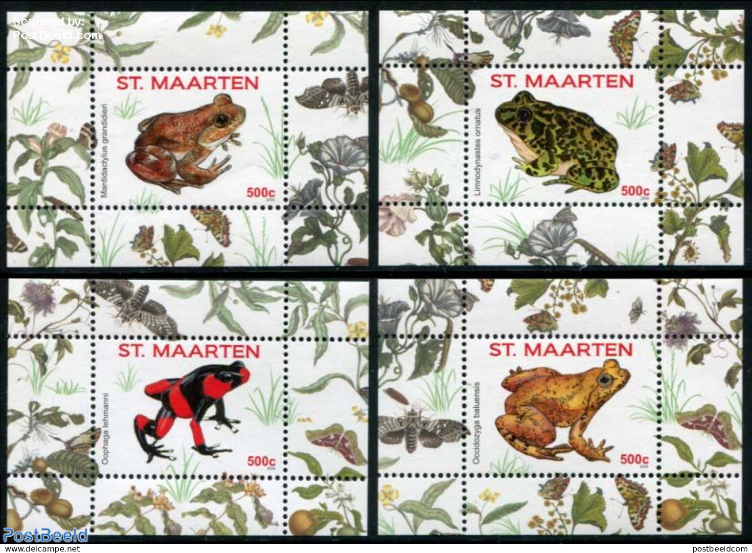 St. Maarten 2016 Frogs 4 S/s, Mint NH, Nature - Frogs & Toads - Reptiles - Autres & Non Classés