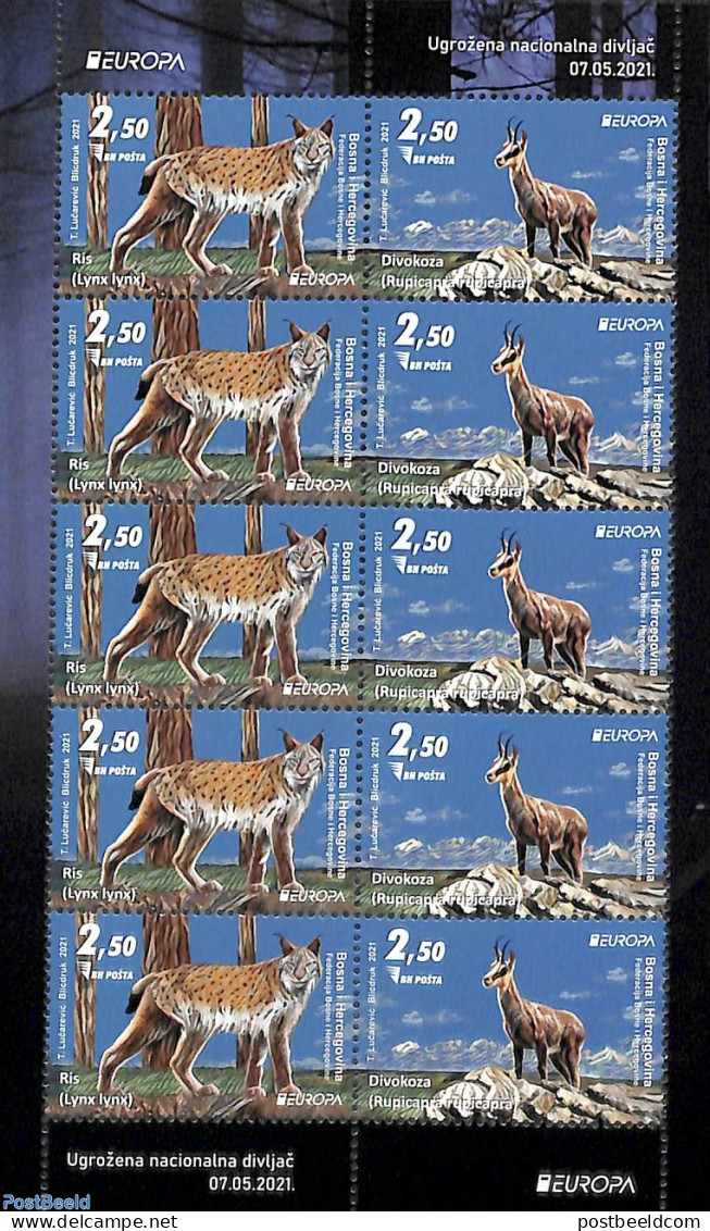 Bosnia Herzegovina 2021 Europa, Endangered Wildlife M/s, Mint NH, History - Nature - Europa (cept) - Animals (others &.. - Autres & Non Classés