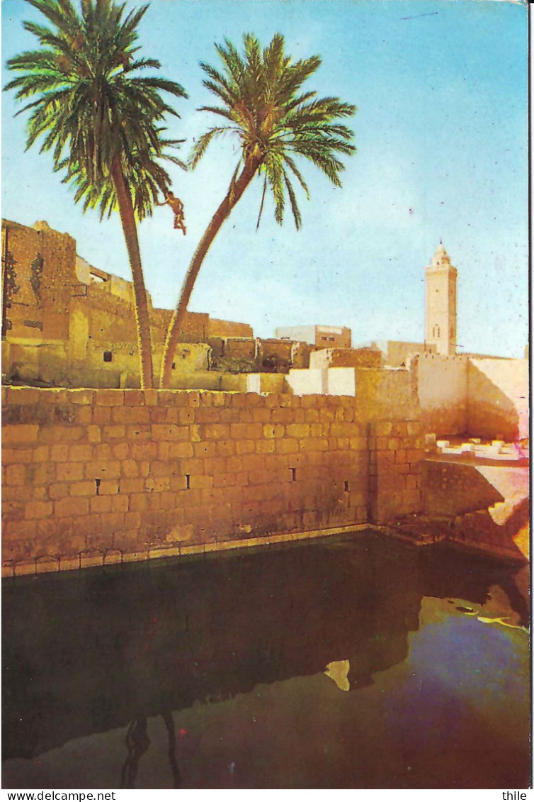 GAFSA - La Piscine Romaine - Tunisie