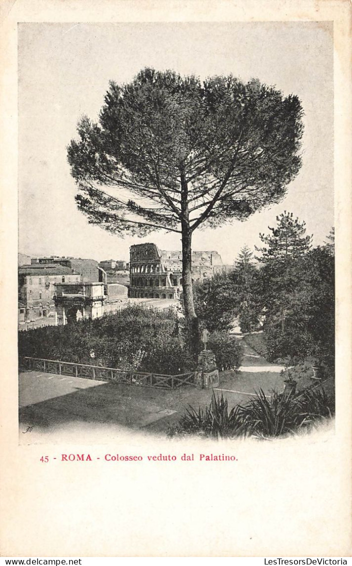 ITALIE - Roma - Colosseo Veduto Dal Palatino - Vue Générale - Carte Postale Ancienne - Colisée