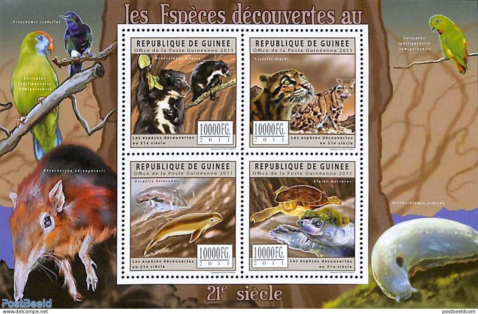 Guinea, Republic 2011 Animals Discovered In 21st Century 4v M/s, Mint NH, Nature - Animals (others & Mixed) - Cat Fami.. - Altri & Non Classificati