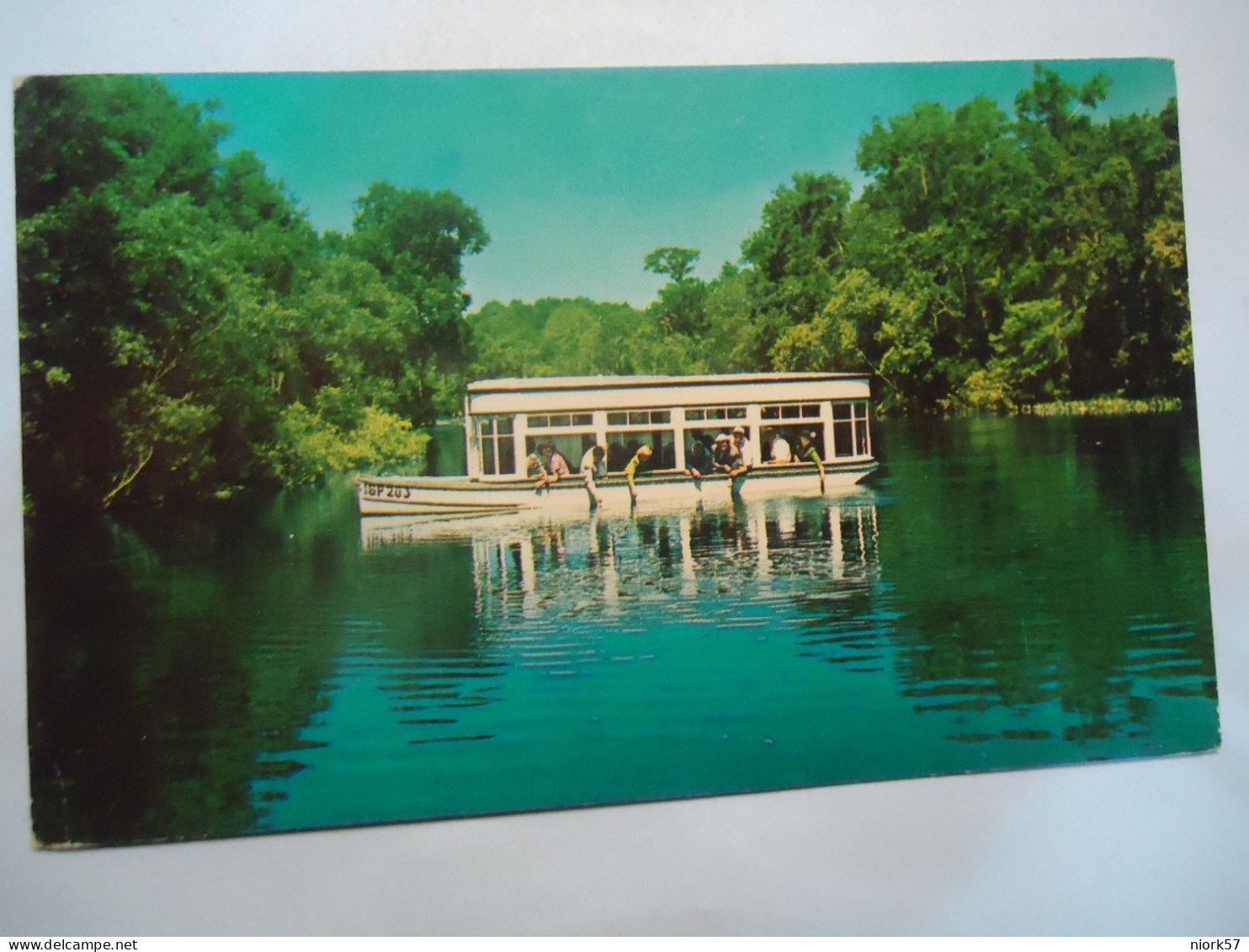 UNITED   STATES POSTCARDS FLORIDA - Other & Unclassified