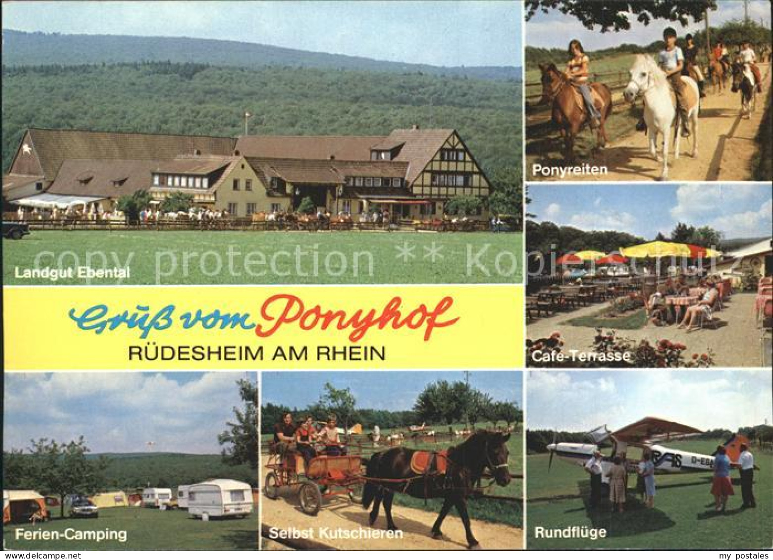 72235091 Ruedesheim Rhein Ponyhof Landgut Ebental  Ruedesheim  - Ruedesheim A. Rh.