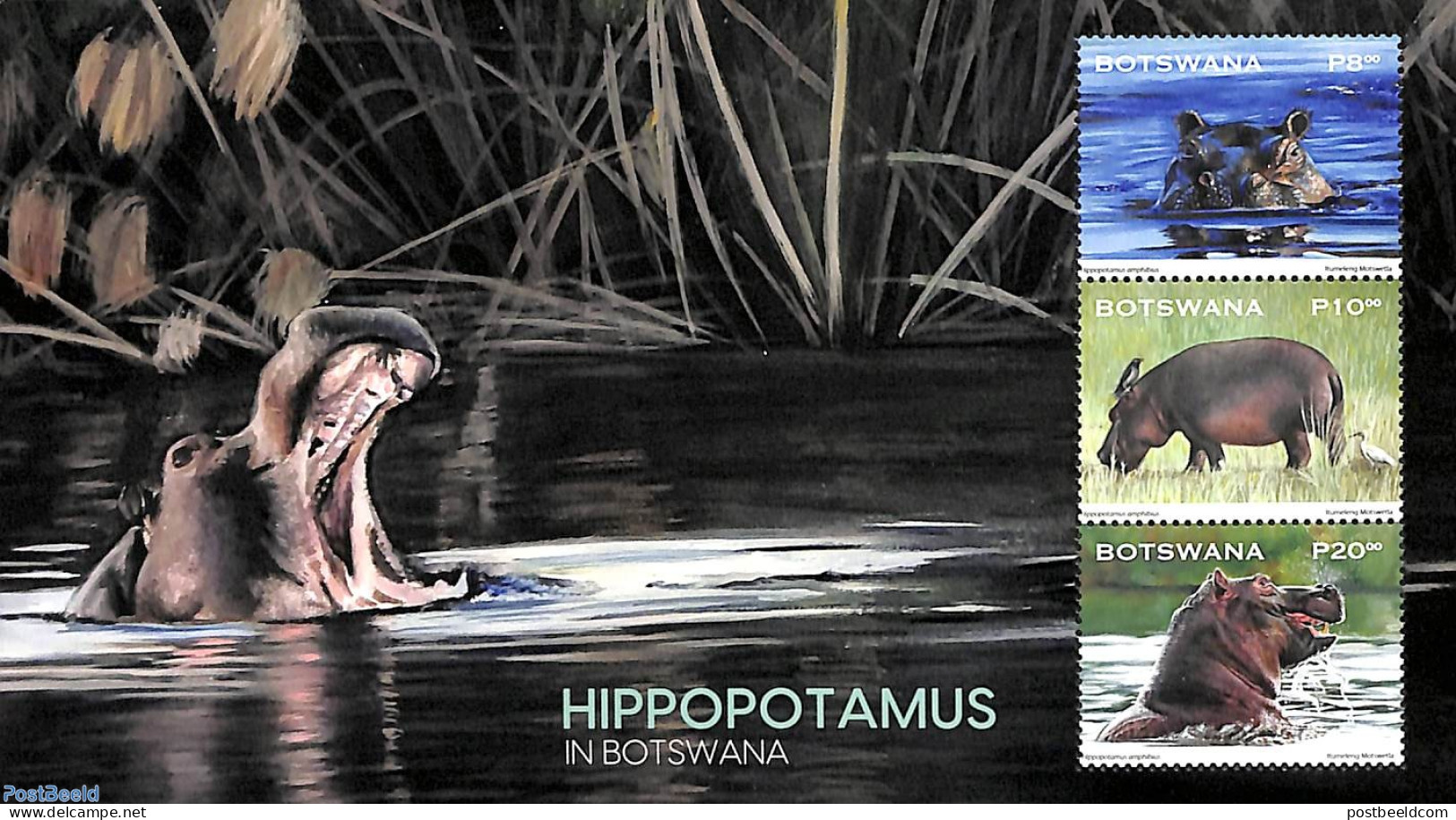 Botswana 2023 Hippo S/s, Mint NH, Nature - Hippopotamus - Botswana (1966-...)