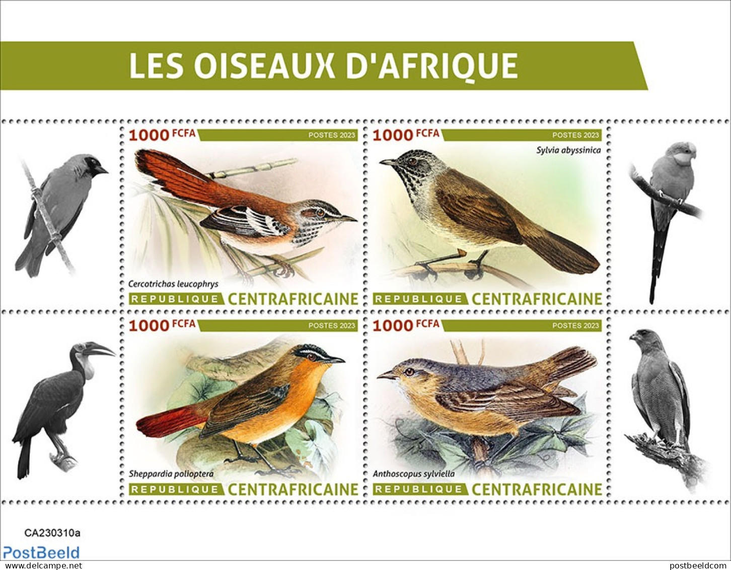 Central Africa 2023 African Birds, Mint NH, Nature - Birds - Centrafricaine (République)