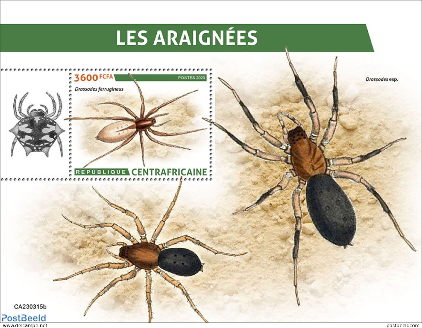 Central Africa 2023 Spiders, Mint NH, Nature - Insects - Centrafricaine (République)