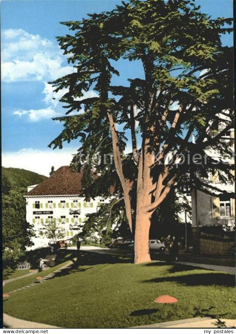 72234389 Badenweiler Parkhotel Mit Zeder Badenweiler - Badenweiler