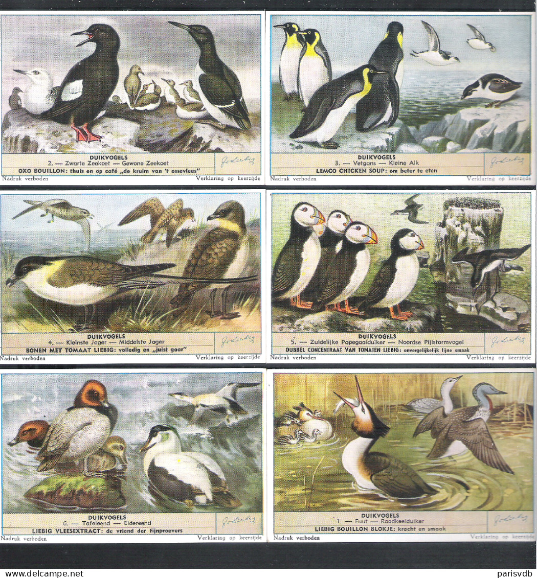 6  CHROMO'S  LIEBIG  -  DUIKVOGELS   (C 1941) - Liebig