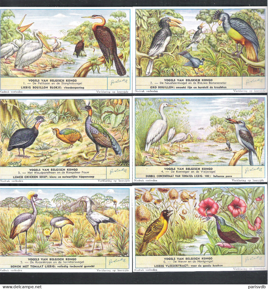 6  CHROMO'S  LIEBIG  -  VOGELS VAN BELGISCH KONGO   (C 1944) - Liebig