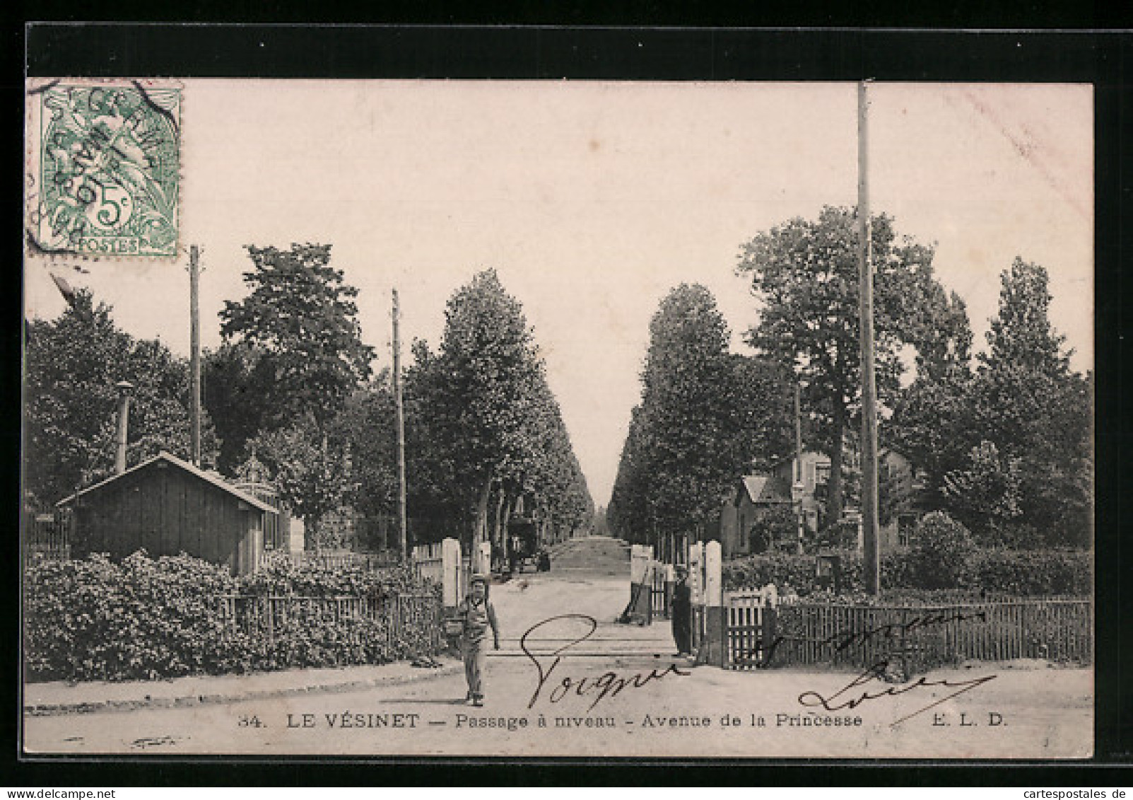 CPA Le Vésinet, Passage à Niveau, Avenue De La Princesse  - Le Vésinet