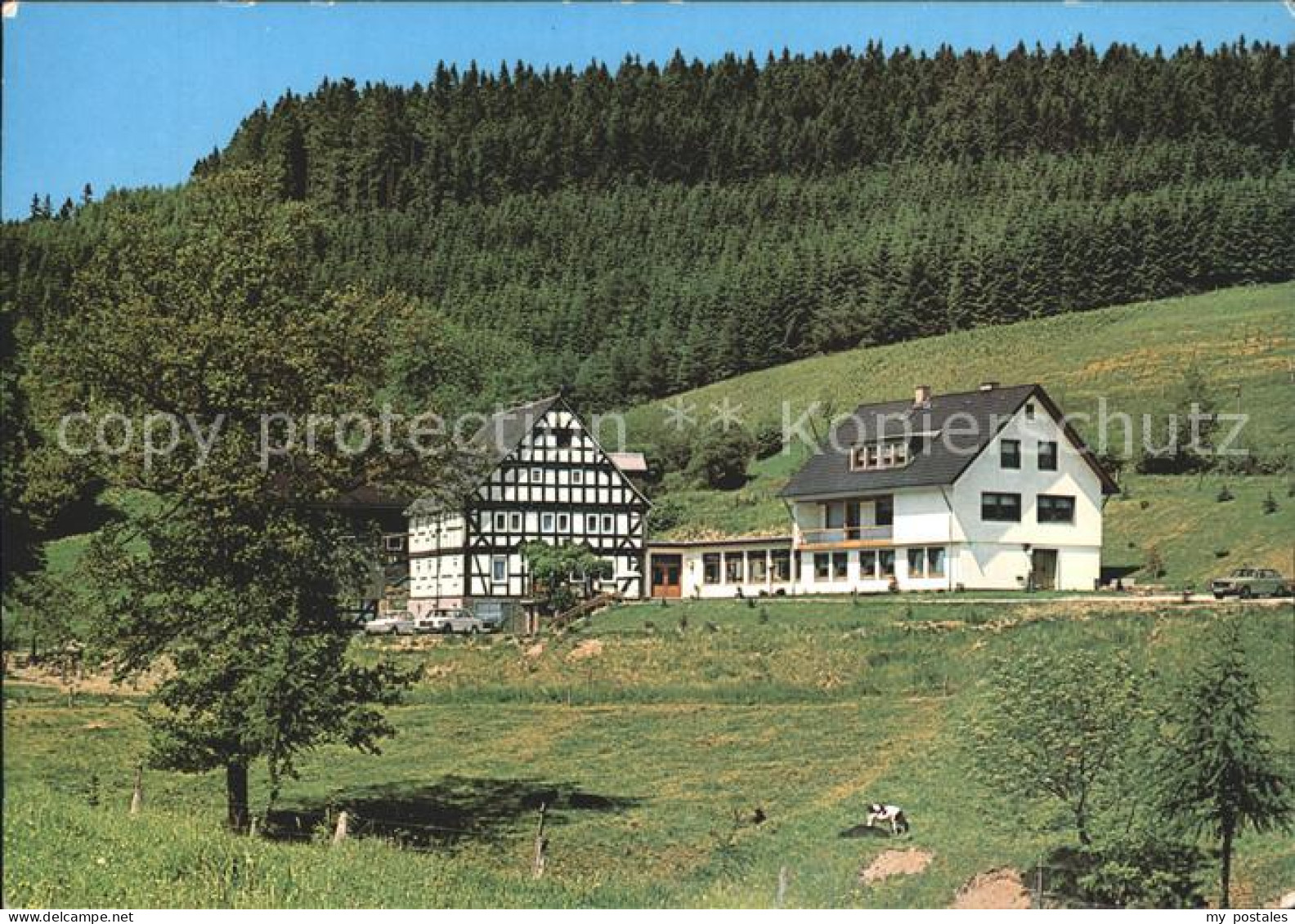 72233339 Girkhausen Bad Berleburg Pension Hof Dambach Bad Berleburg - Bad Berleburg