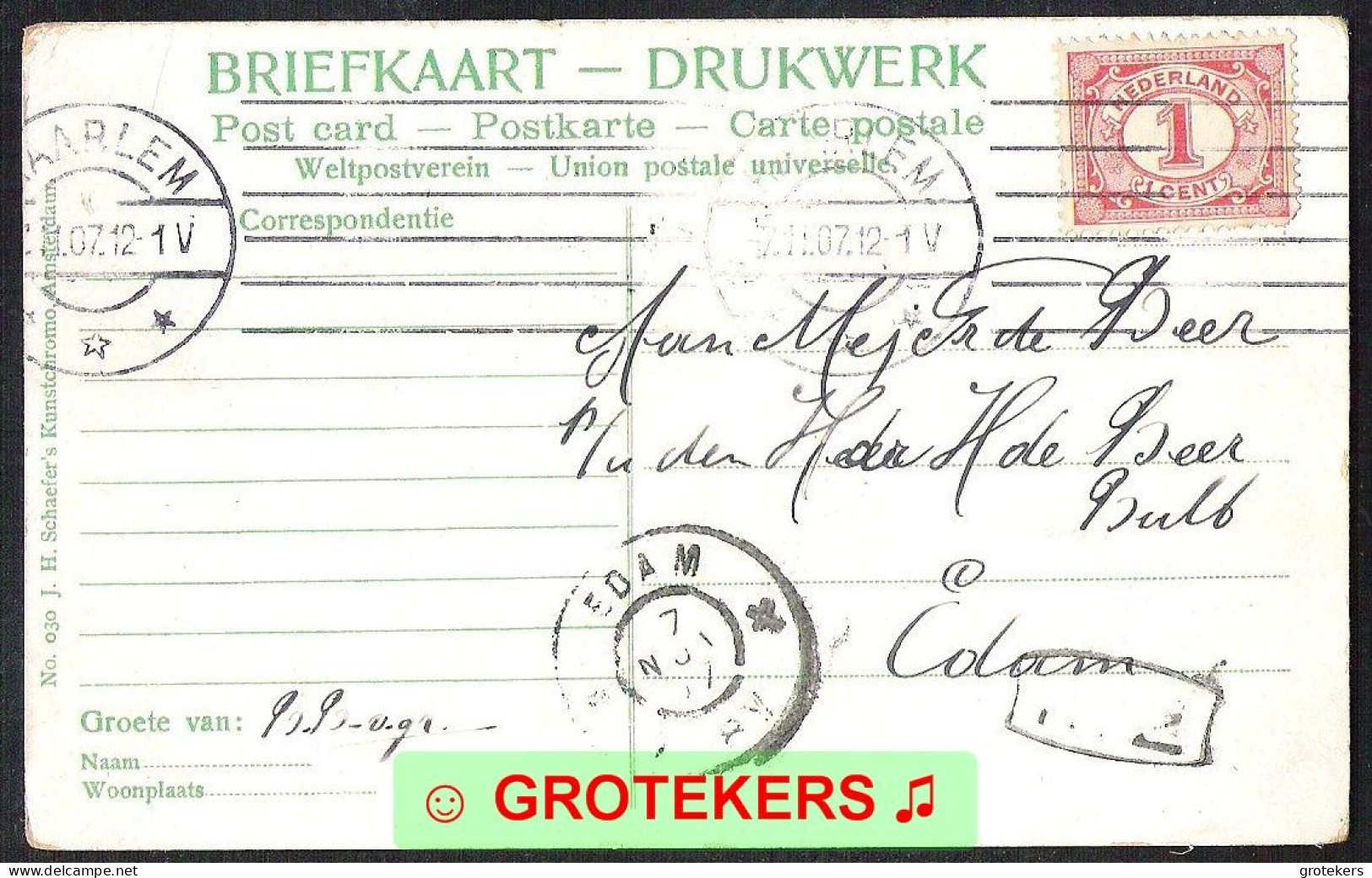 HAARLEM Gezicht Op Het Gesticht DEO 1907  Ed: SCHAEFER - Haarlem