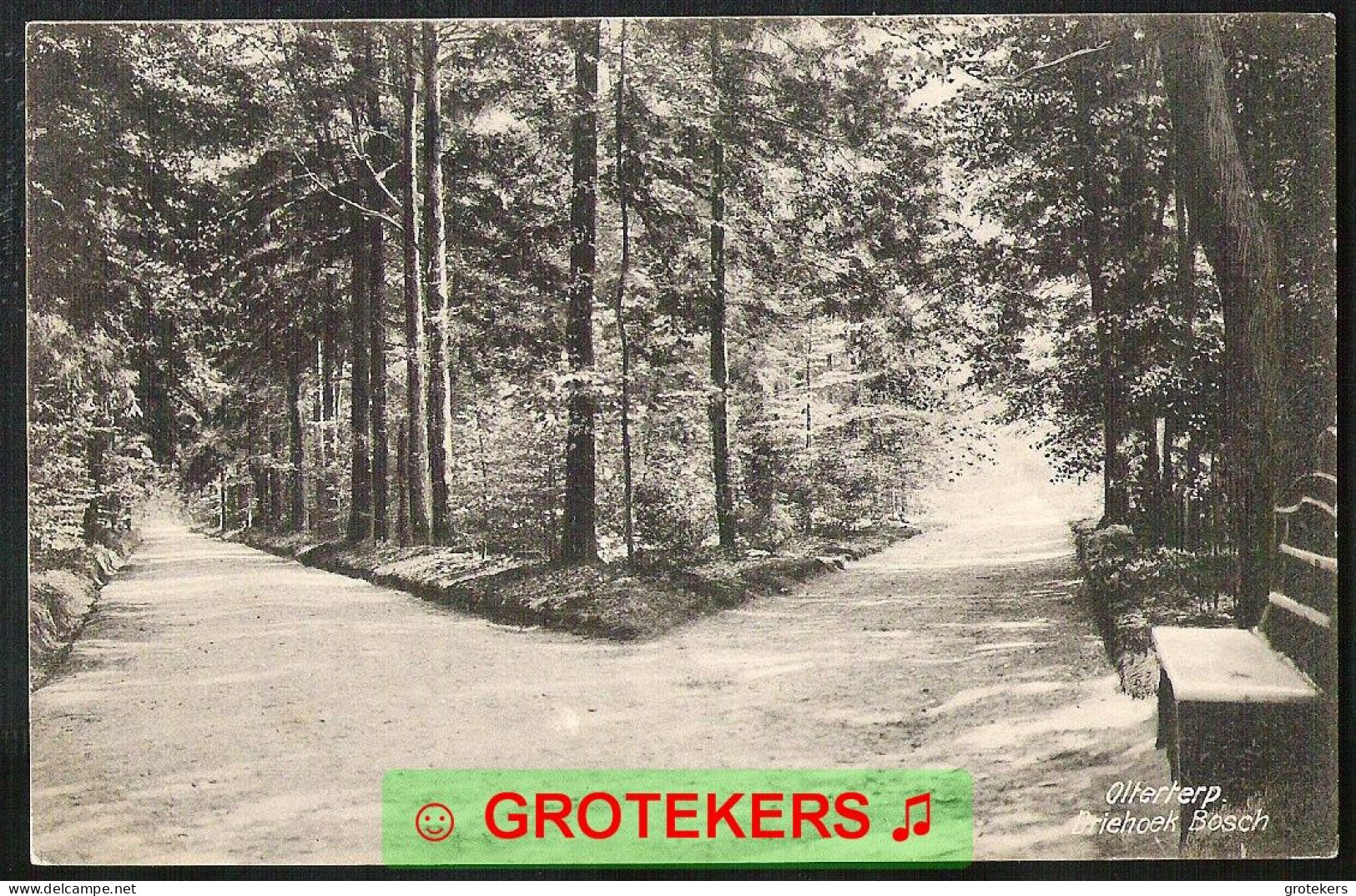 OLTERTERP Driehoek Bosch 1917 Verzonden 1920 Met Kortebalkstempel DRAGTEN 3 - Other & Unclassified