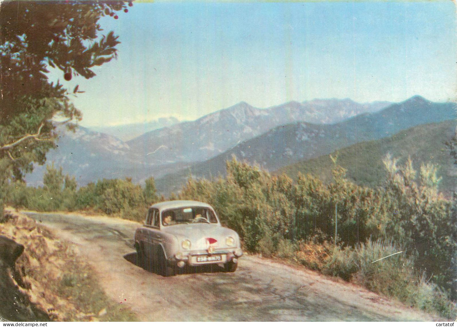 Tour De CORSE Automobile . Passage Concurrent ( Renault Dauphine ) Route De PISCIATELLO - Andere & Zonder Classificatie