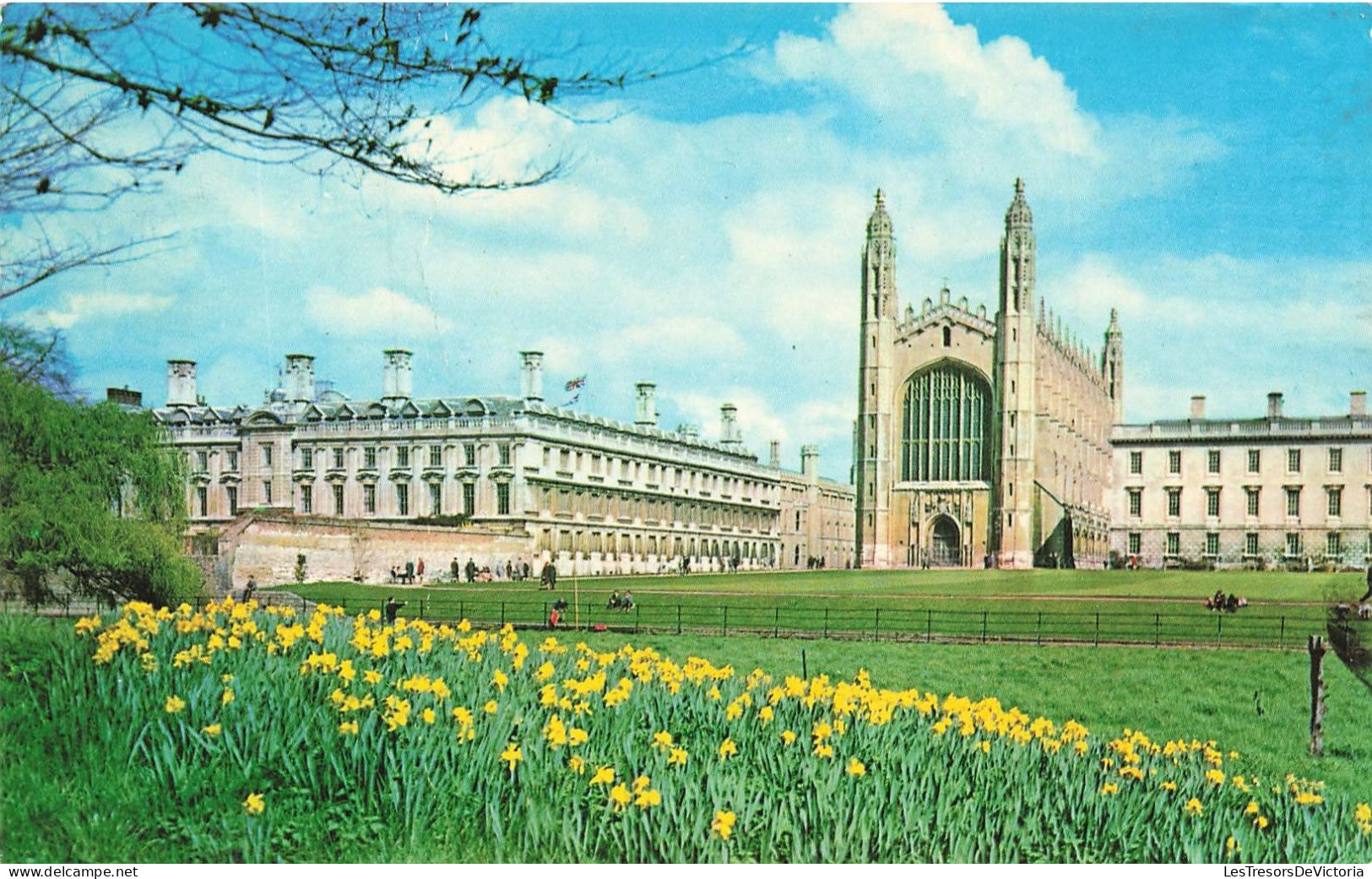 ROYAUME-UNI - Clare College And King's College - Chapel - Chambridge - Animé - Carte Postale Ancienne - Cambridge