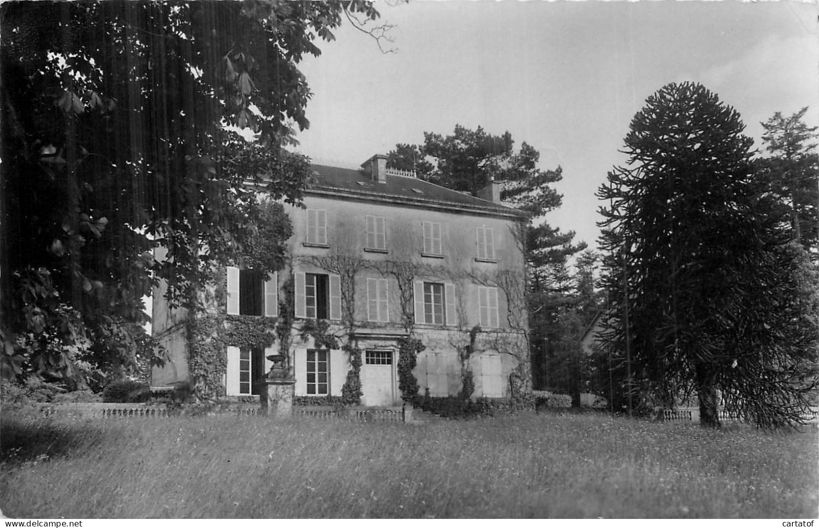 VINGT HANAPS . Château Des Mézières - Autres & Non Classés
