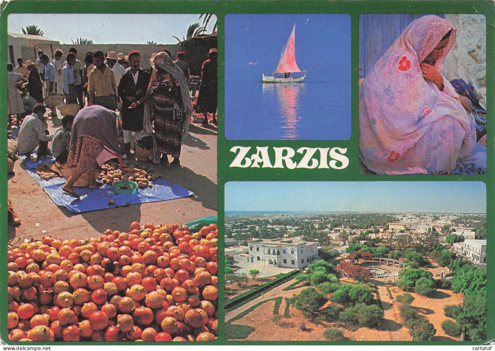 ZARZIS . CP Multivues .  TUNISIE - Tunisie