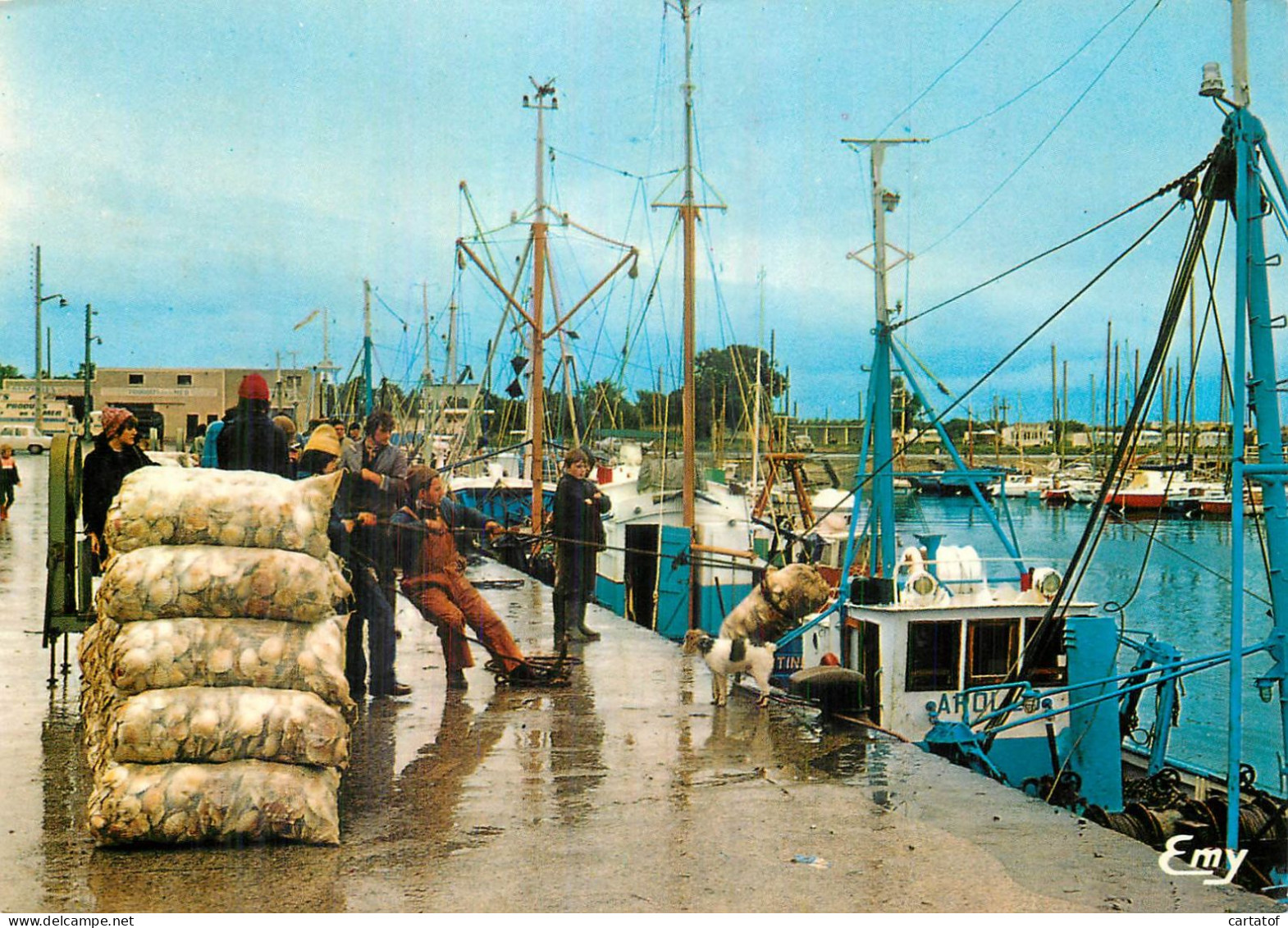 GRANCAMP MAISY . Retour De Pêche à La Coquille St-Jacques - Autres & Non Classés