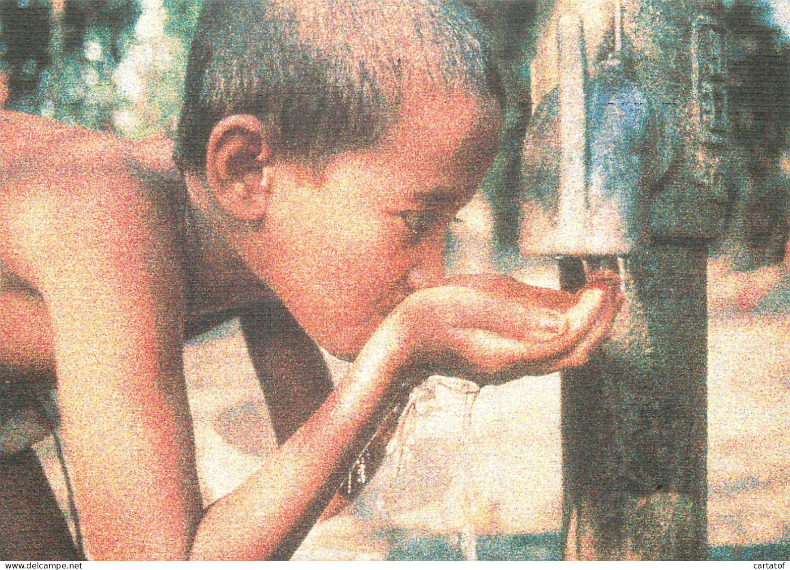 Entier Postal 50° Anniversaire De La Fondation F.A.O . CITA DEL VATICANO . BANGLADESH - Vatican