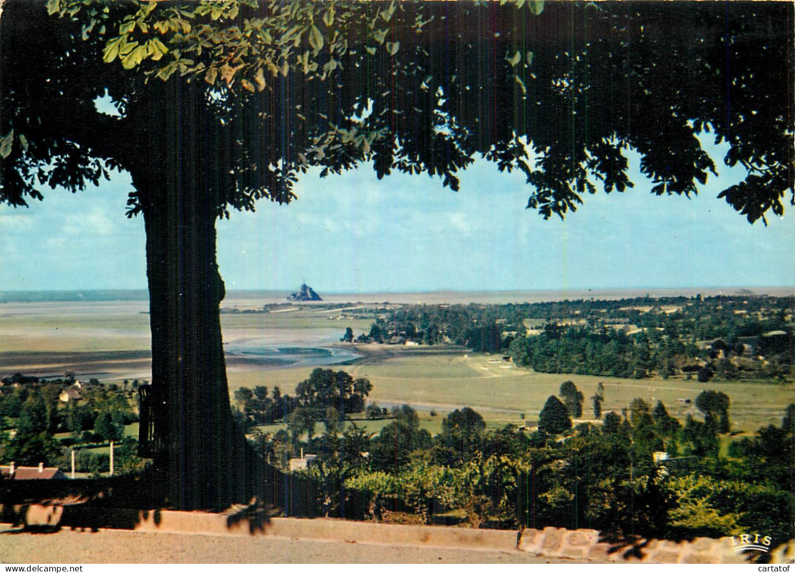 AVRANCHES . Vue Vers Le Mont Saiont-Michel . - Avranches