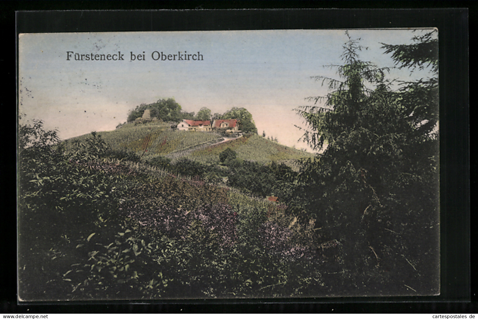 AK Fürsteneck Bei Oberkirch, Gebäudeansicht  - Oberkirch