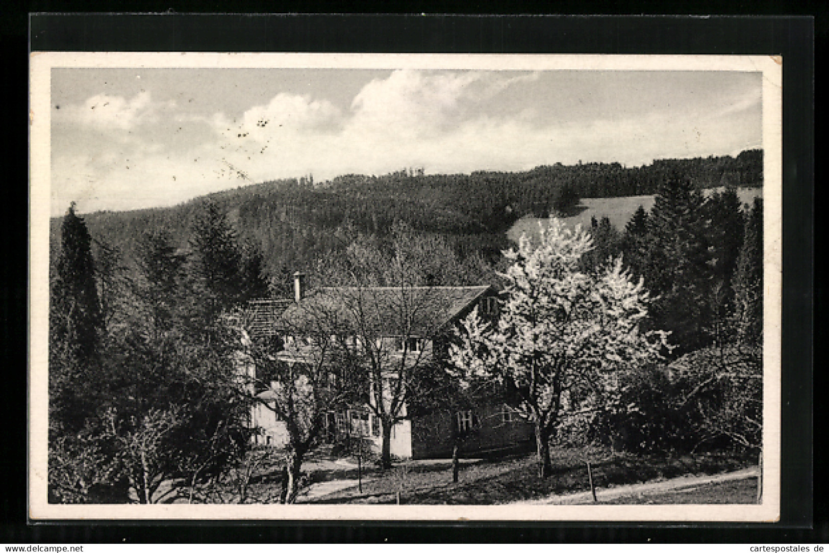 AK Buchenbach / Breisgau, Sanatorium Wiesneck  - Buchen