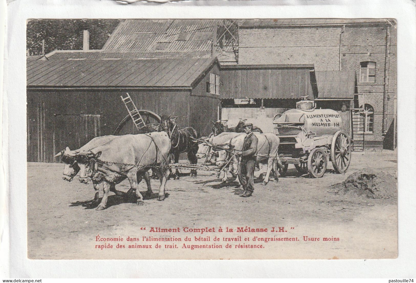 CPA :  14 X 9  -  Carte Publicitaire  " Aliment Complet à La Mélasse J. H. " -  Etablissements Agricole Et Industriels. - Other & Unclassified