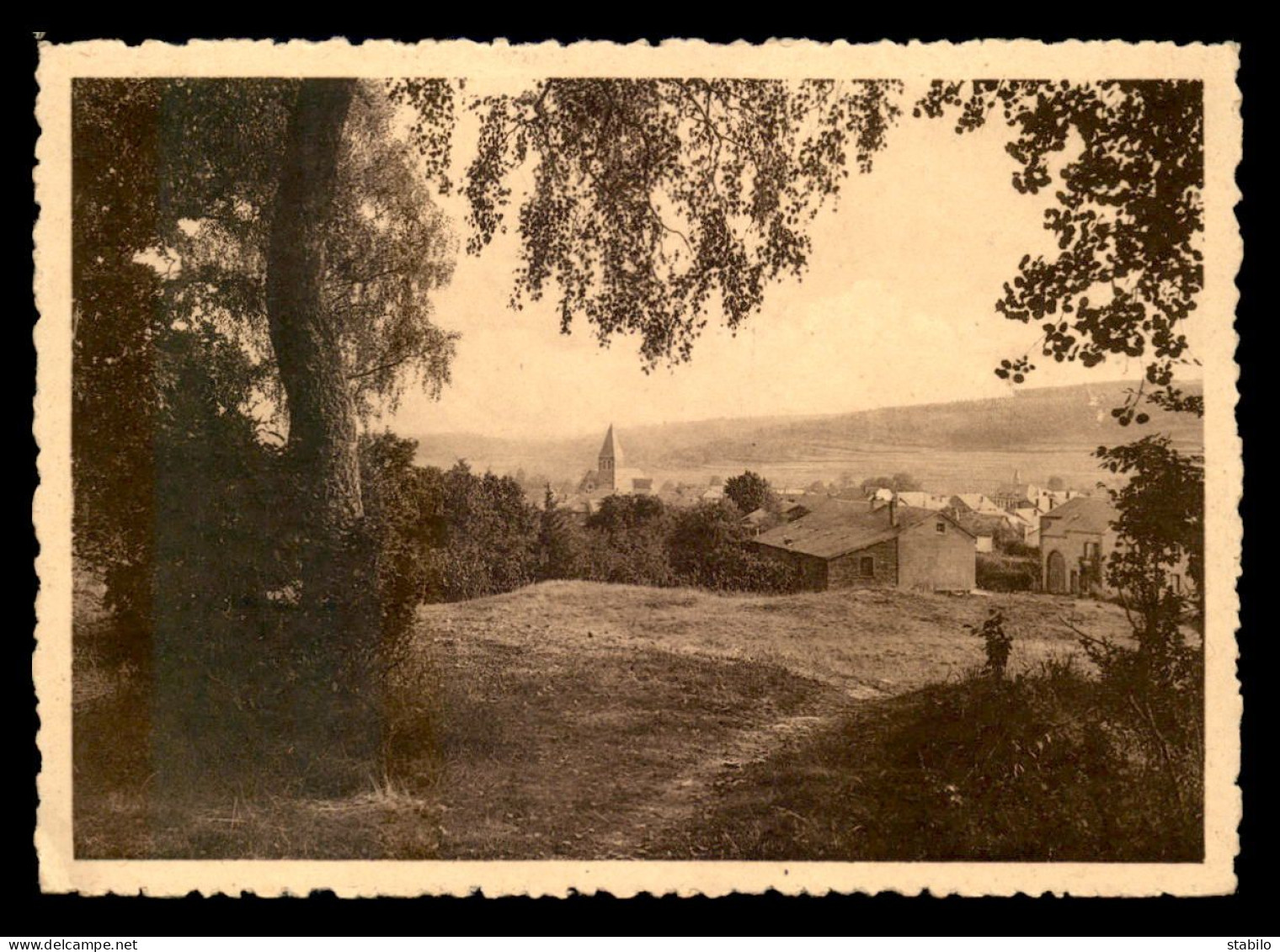 BELGIQUE - HERBEUMONT - SENTIER MONTANT AUX RUINES DU CHATEAU - Herbeumont