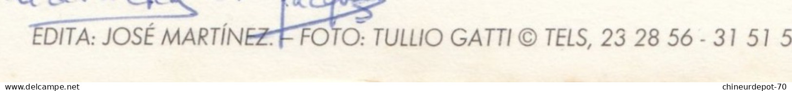 ISLAS CANARIAS 11 EDIT  JOSÉ MARTINEZ PHOTO  TULLIO GATTI - Sonstige & Ohne Zuordnung