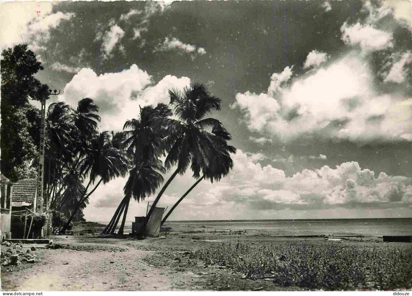 Martinique - Plage - Mention Photographie Véritable - Carte Dentelée - CPSM Grand Format - Voir Scans Recto-Verso - Andere & Zonder Classificatie