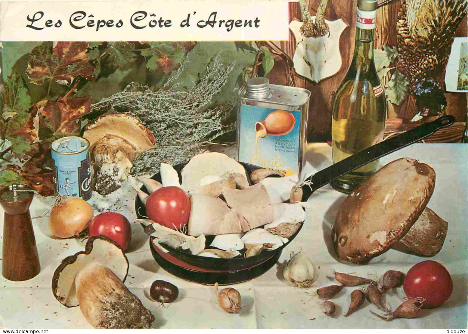 Recettes De Cuisine - Cêtes Côte D'Argent - Gastronomie - CPM - Voir Scans Recto-Verso - Küchenrezepte