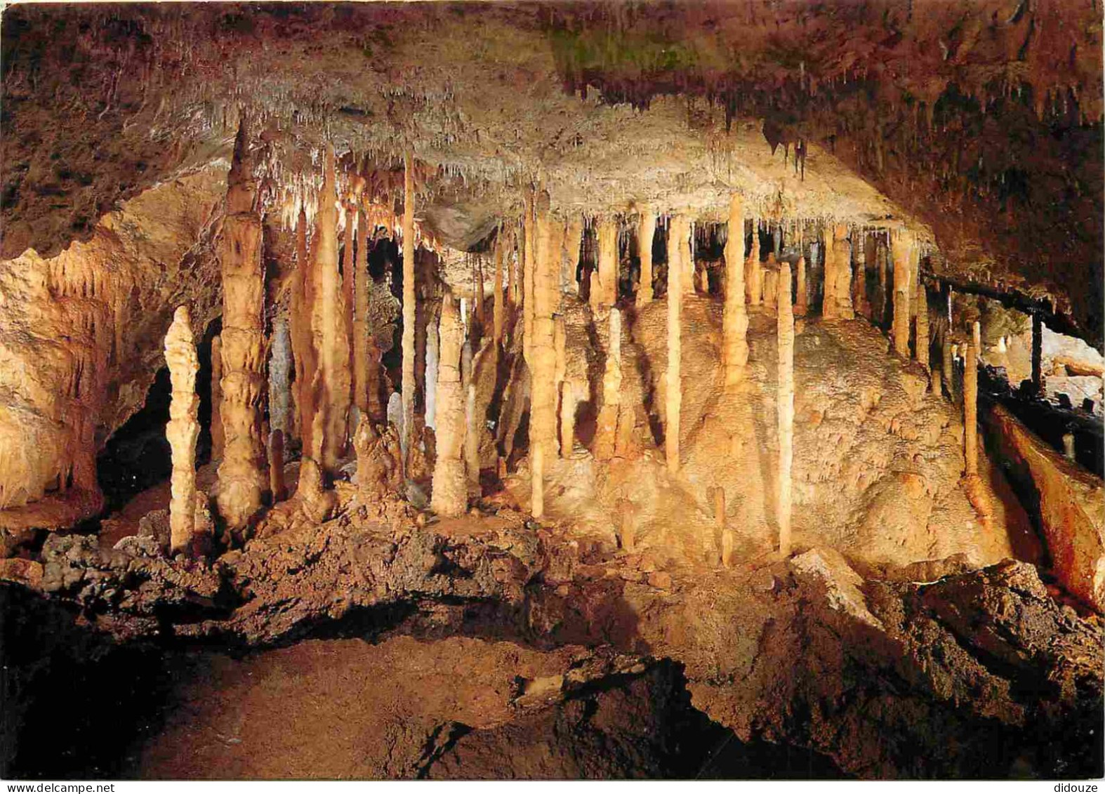 Spéléologie - Grotte De Han Sur Lesse - La Forêt Nouvelles Galeries - Belgique - Belgium - Potholing - Cave - CPM - Cart - Otros & Sin Clasificación