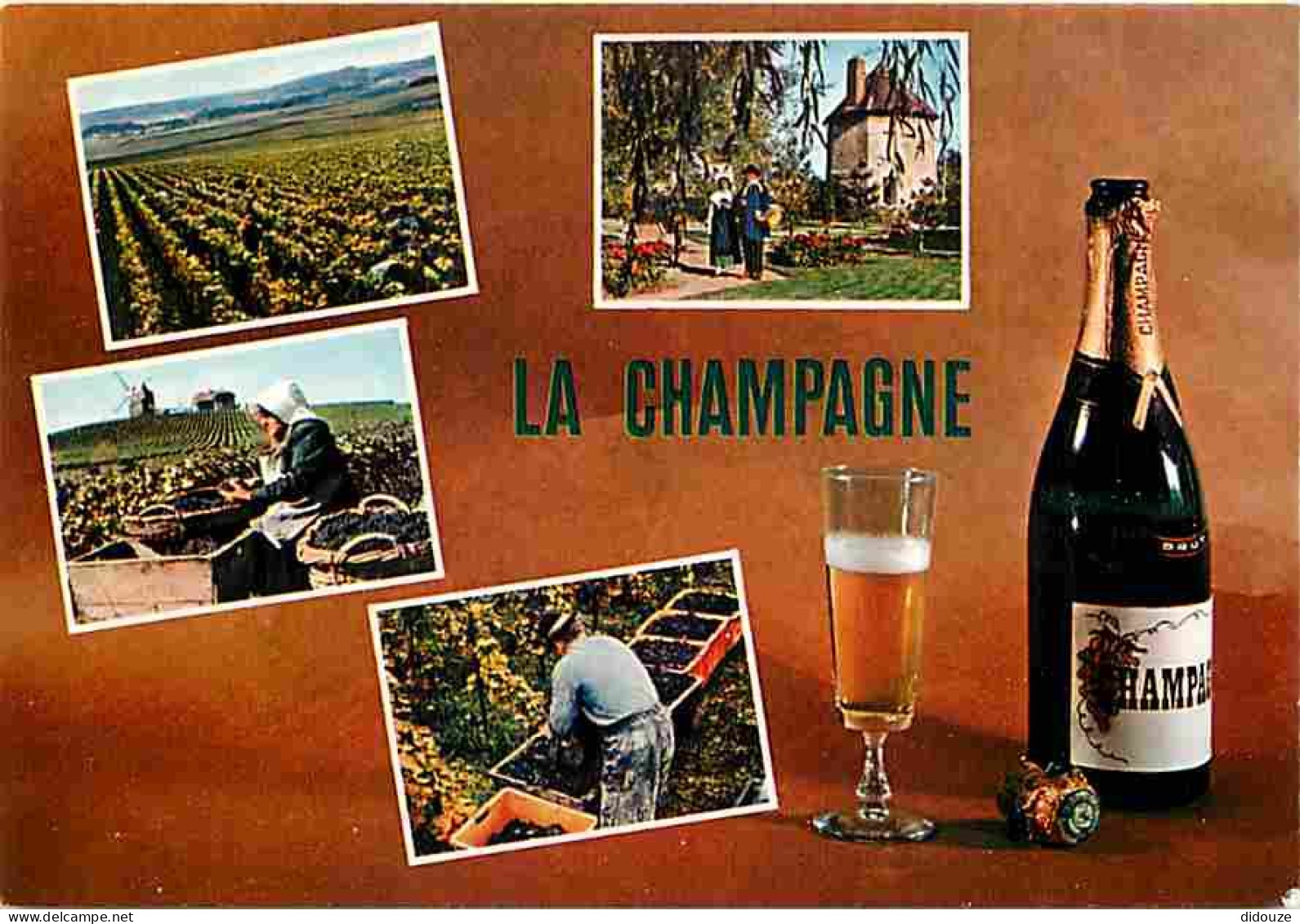 Vignes - Champagne - Multivues - CPM - Voir Scans Recto-Verso - Vines