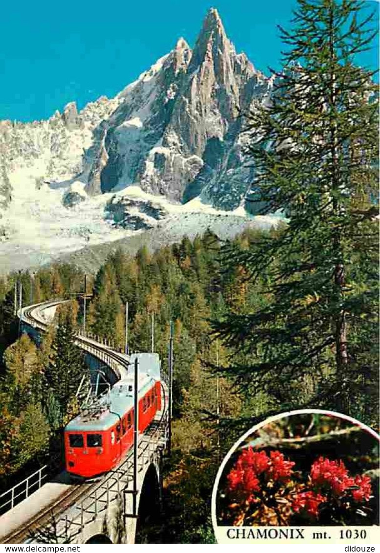 Trains - Chamonix-Mont Blanc - Le Train Du Montenvers - La Mer De Glace Et L'aiguille Du Dru - Carte Neuve - CPM - Voir  - Trains