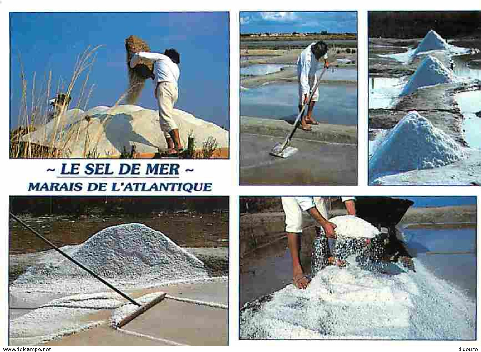 Metiers - Marais Salants - Saliculture - Saliculteurs - Sauniers - Paludiers - Le Sel De Mer - Marais De L'Atlantique -  - Otros & Sin Clasificación