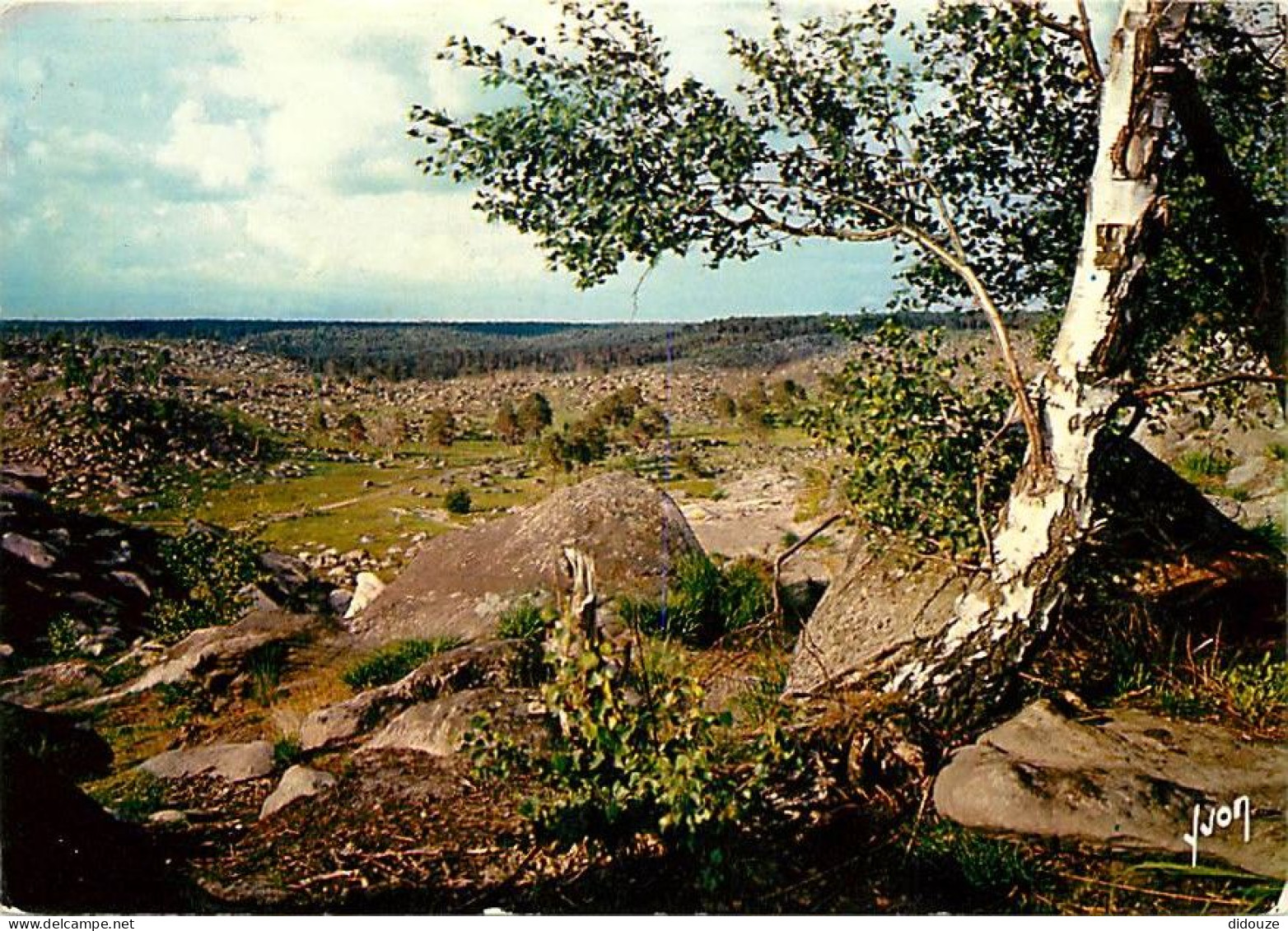 77 - Fontainebleau - Forêt De Fontainebleau - Désert D'Apremont - CPM - Voir Scans Recto-Verso - Fontainebleau