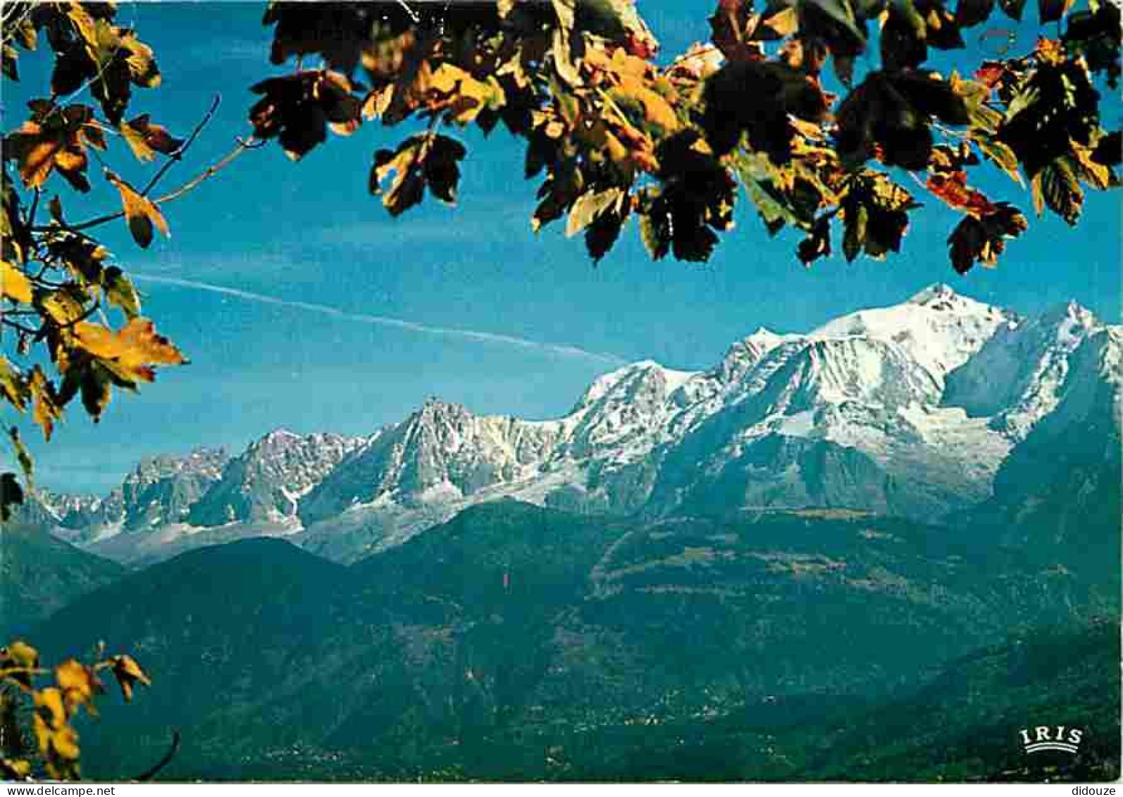 74 - Chamonix - Mont-Blanc - Les Aiguilles De Chamonix - Le Mont-Blanc - CPM - Voir Scans Recto-Verso - Chamonix-Mont-Blanc