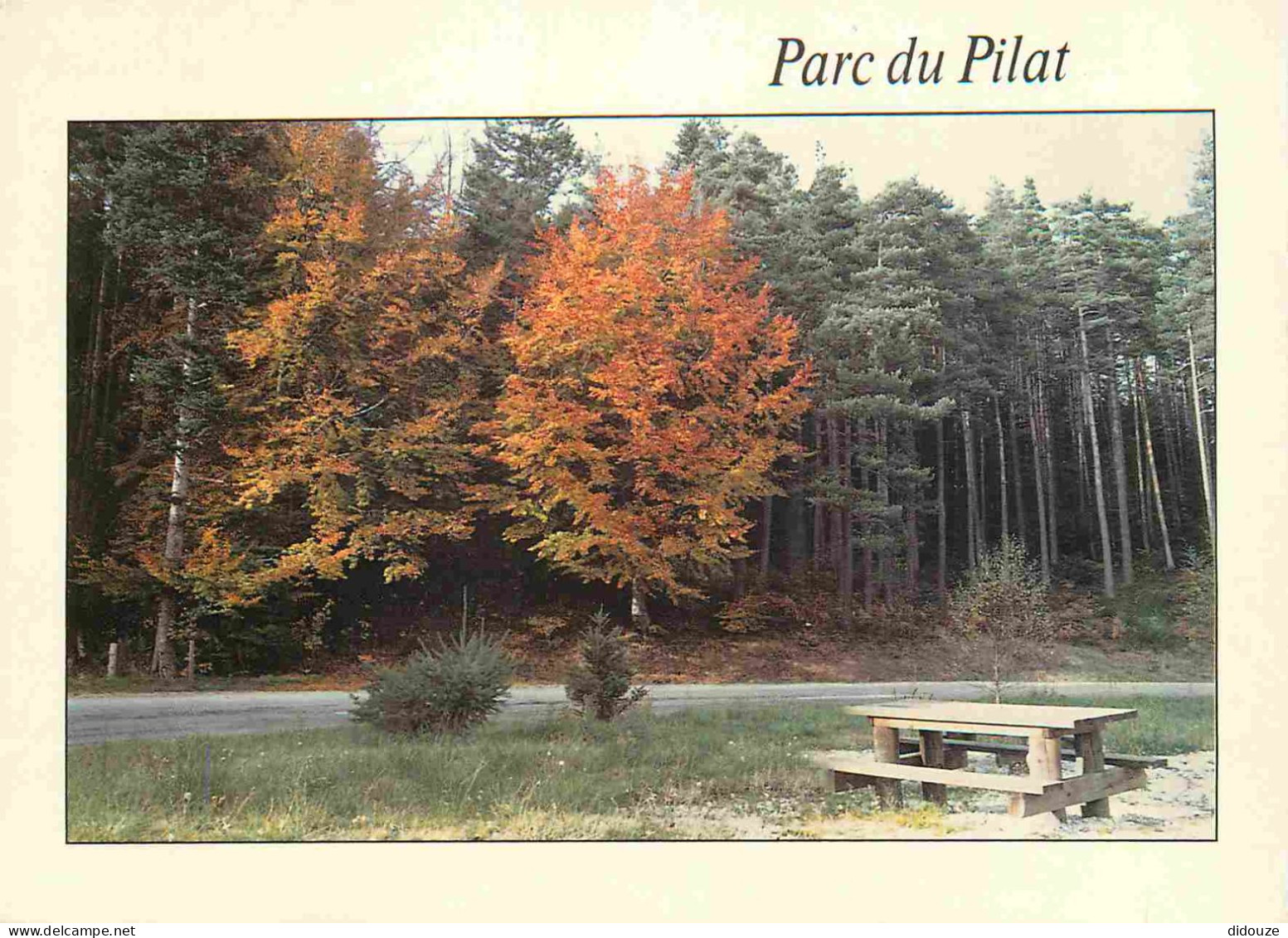 42 - Le Mont Pilat - Parc Naturel Régional Du Pilat - CPM - Voir Scans Recto-Verso - Mont Pilat