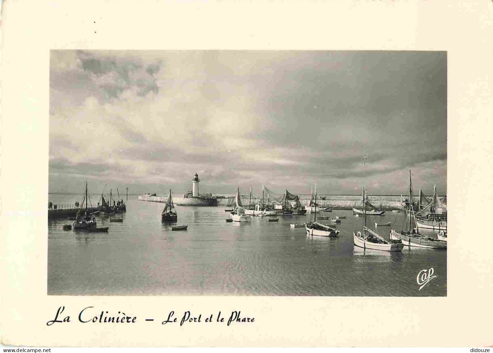 17 - Ile D'Oléron - Port De La Cotinière - Mention Photographie Véritable - Carte Dentelée - CPSM Grand Format - Voir Sc - Ile D'Oléron