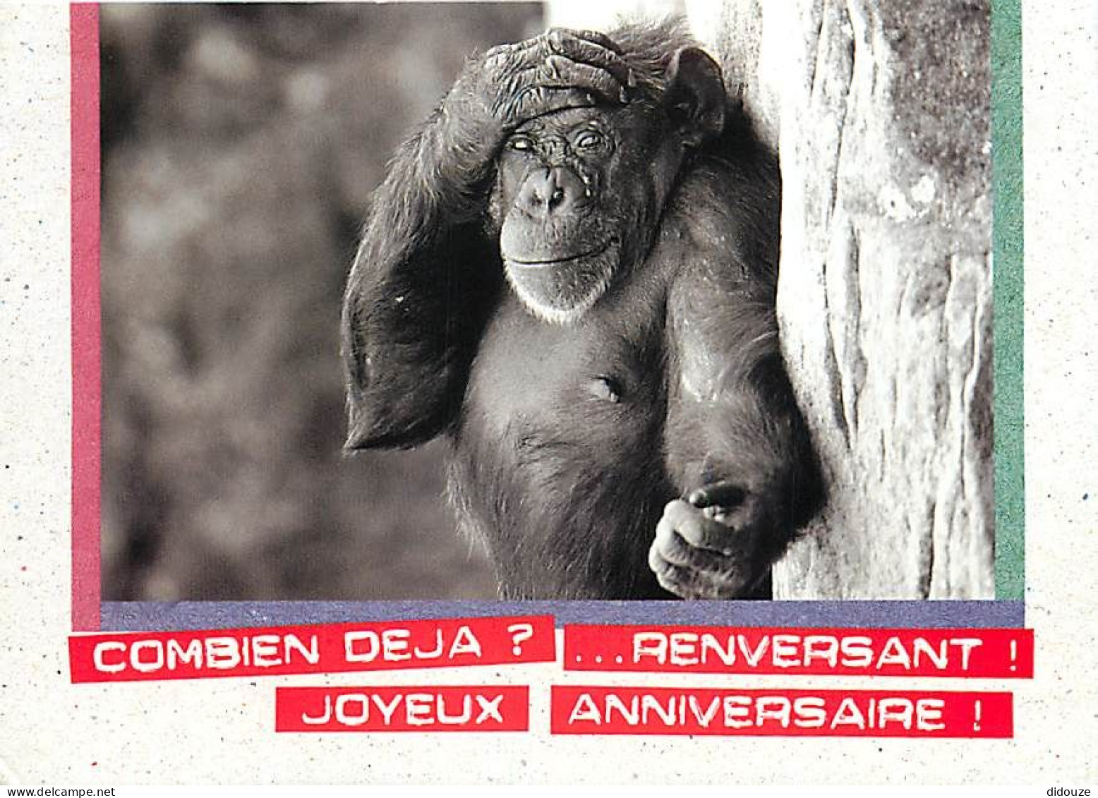 Animaux - Singes - Chimpanzé - Carte à Message - Collection A Demi Mots - CPM - Voir Scans Recto-Verso - Singes