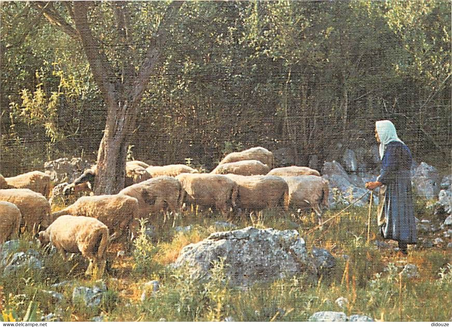 Animaux - Moutons - Traditions - Les Petits Métiers De Chez Nous - 38 - La Bergère - Carte Gauffrée - CPM - Voir Scans R - Otros & Sin Clasificación