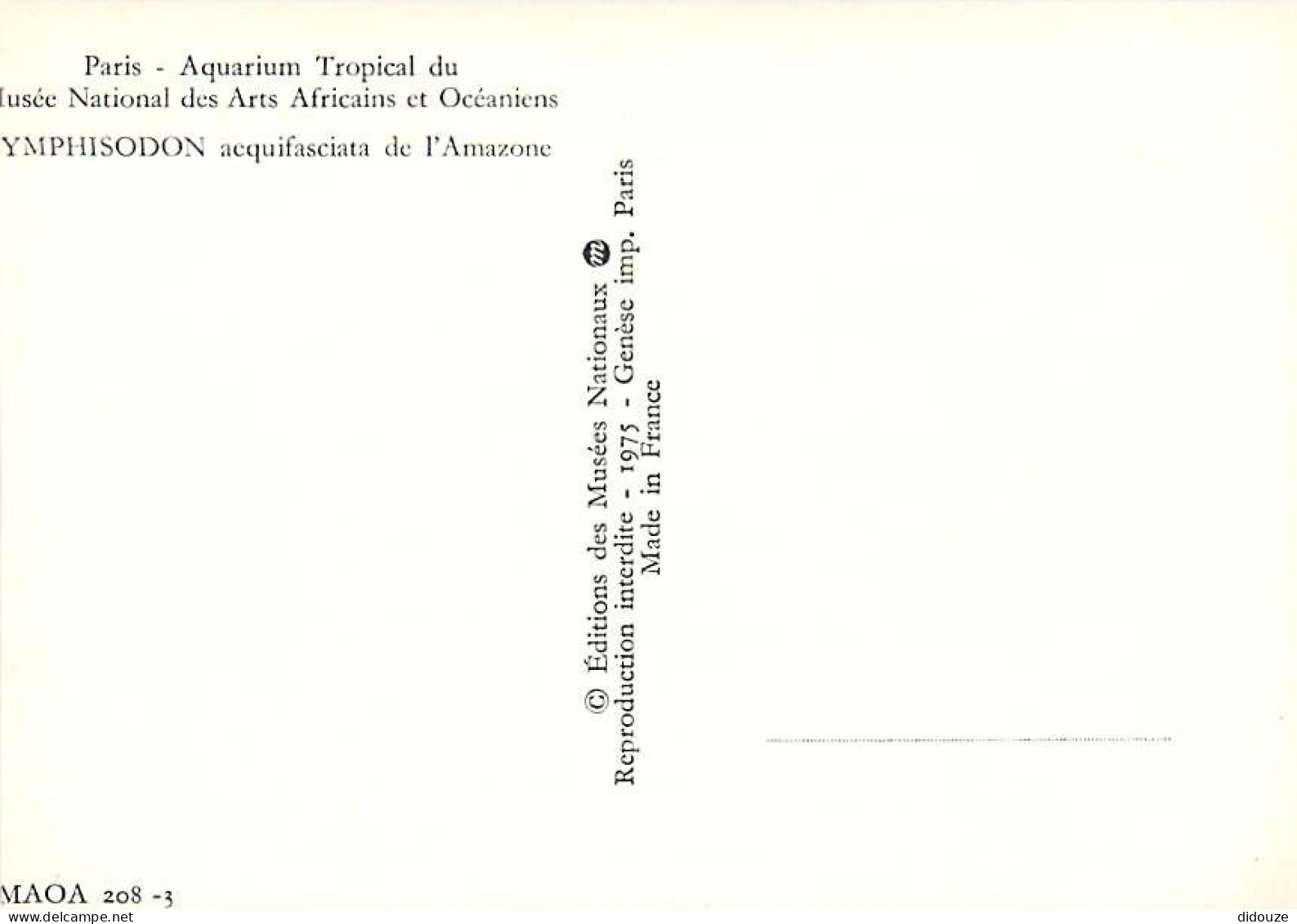 Animaux - Poissons - Aquarium Tropical Du Musée National Des Arts Africains Et Océaniens De Paris - Symphisodon Aequifas - Poissons Et Crustacés