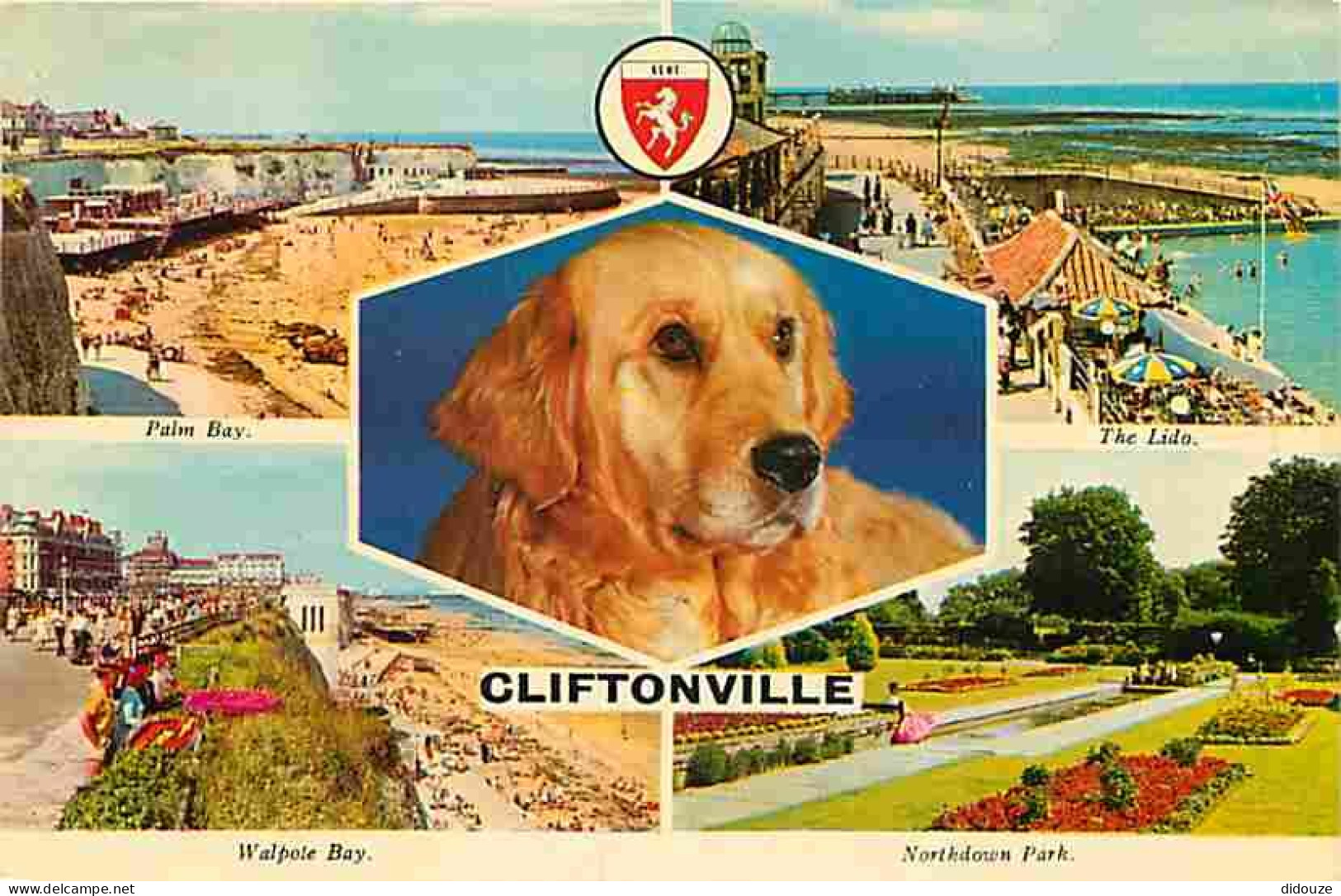 Animaux - Chiens - Race à Définir - Cliftonville - Multivues - Blasons - CPM - Voir Scans Recto-Verso - Chiens