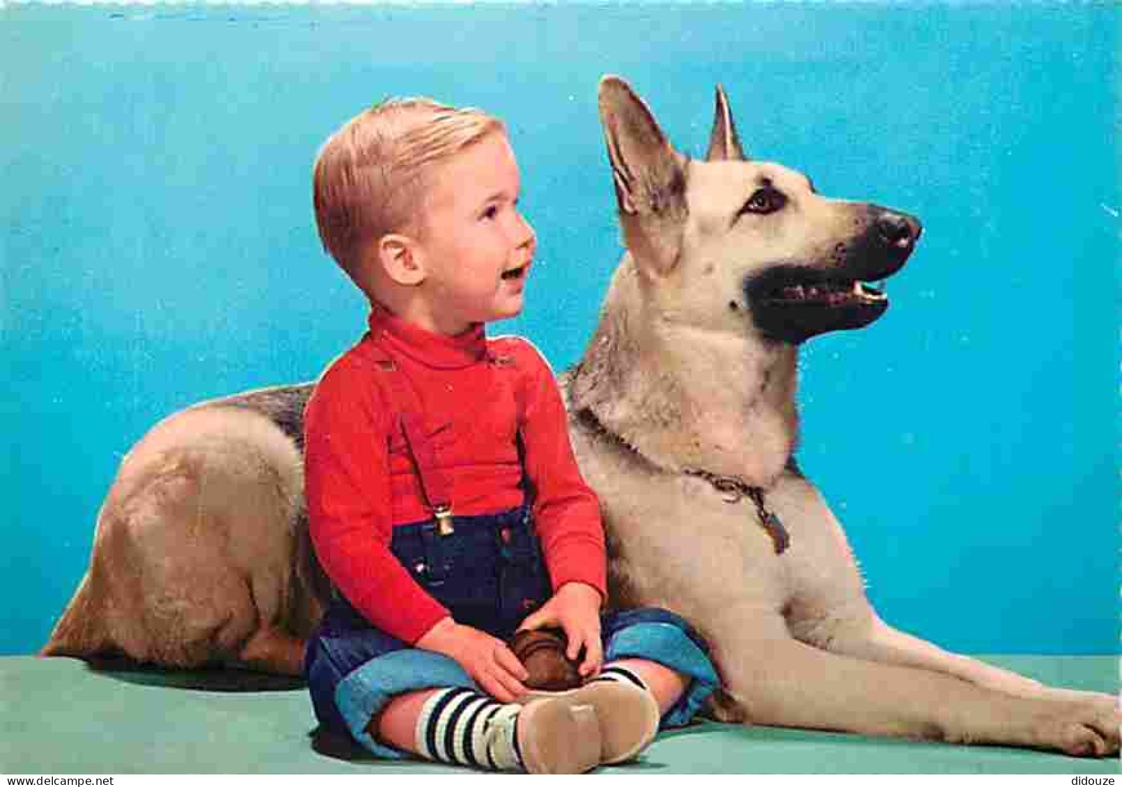 Animaux - Chiens - Enfant - CPM - Voir Scans Recto-Verso - Chiens