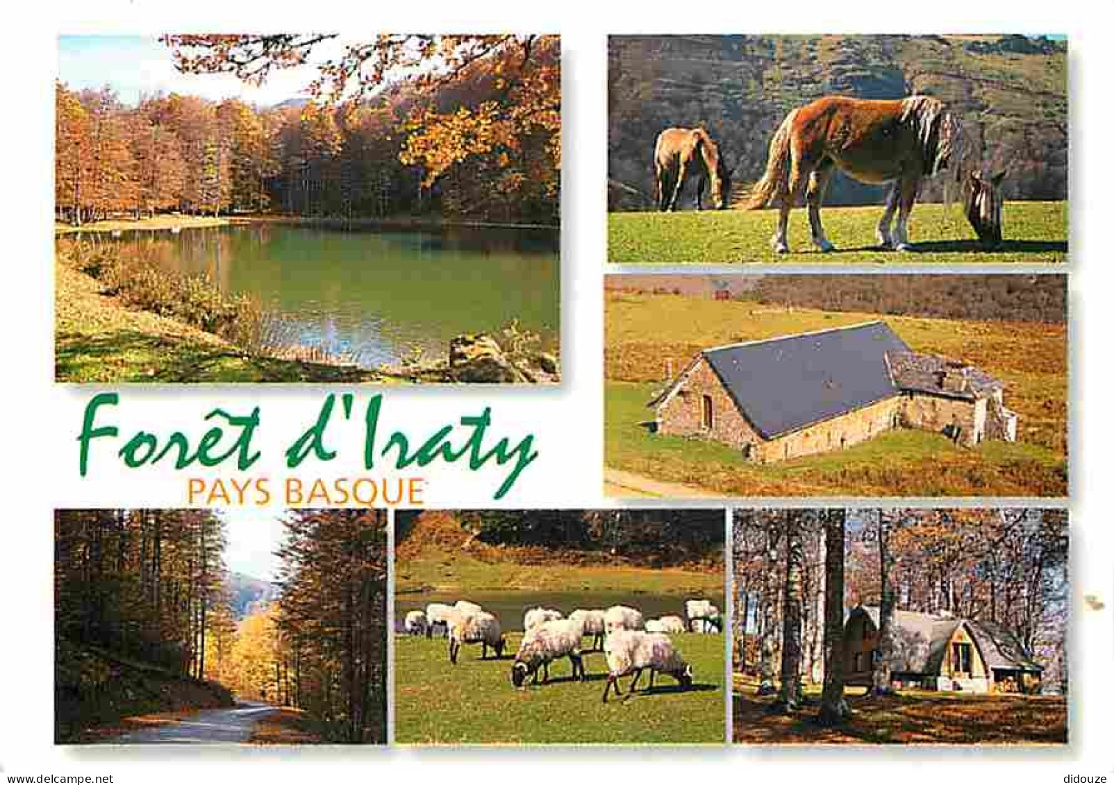 Animaux - Pays Basque - Foret D'Iraty - Chevaux - Moutons - Multivues - CPM - Voir Scans Recto-Verso - Autres & Non Classés