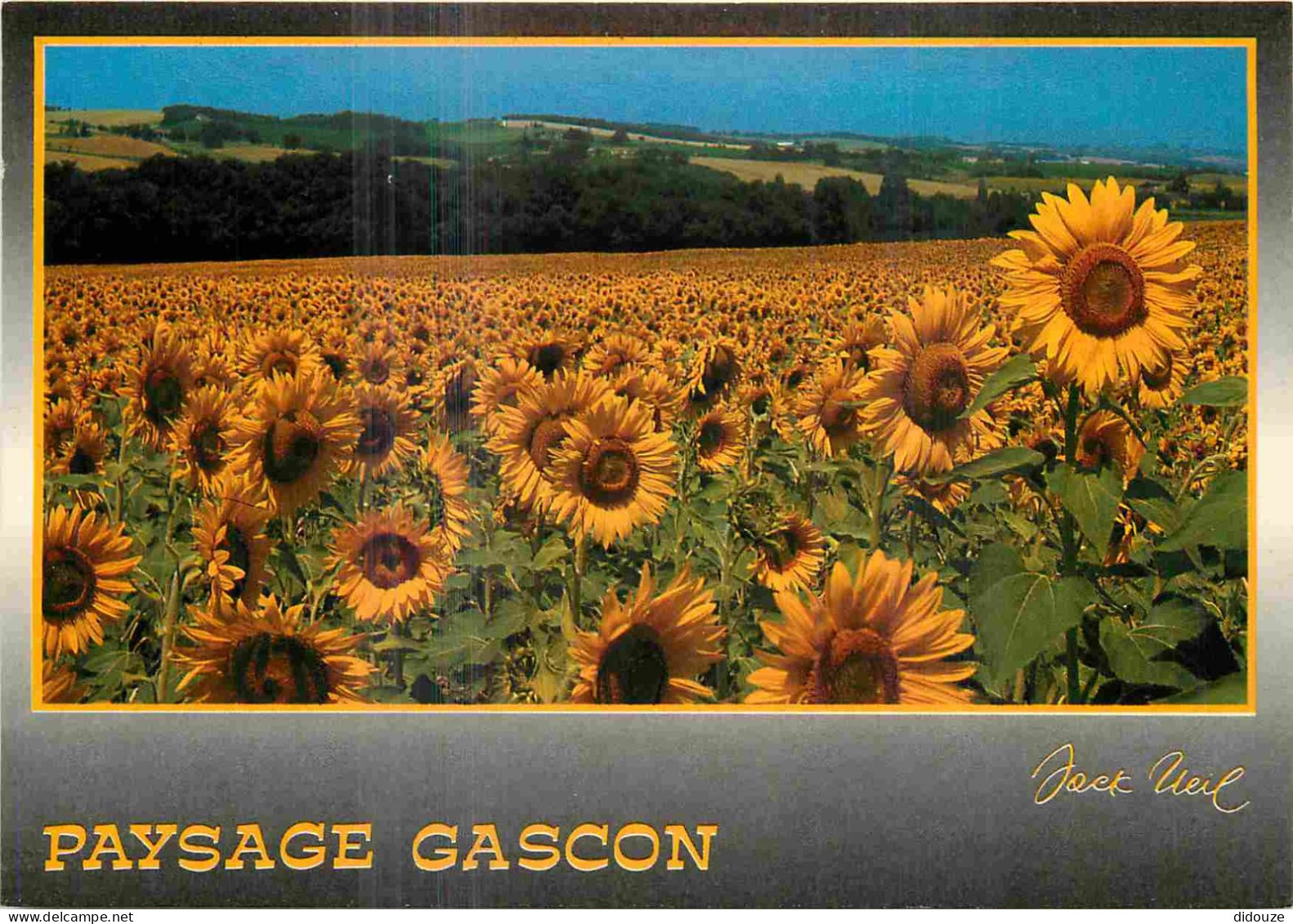 32 - Gers - Champs De Tournesols - CPM - Voir Scans Recto-Verso - Other & Unclassified