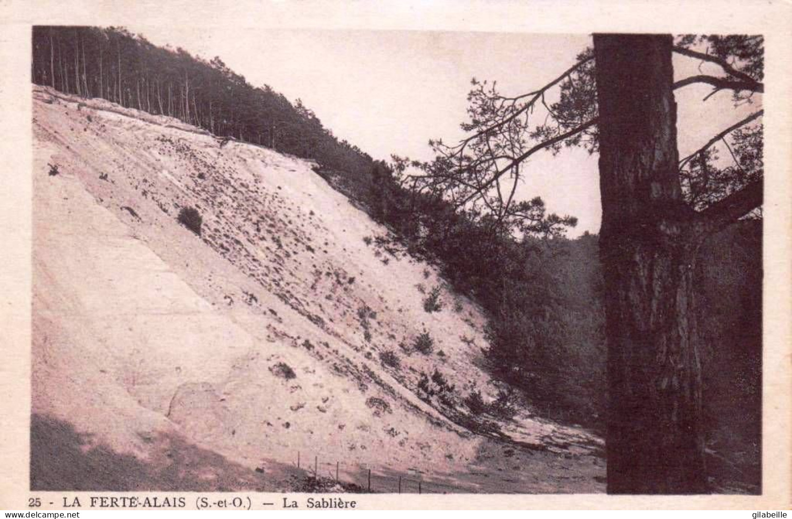 91 - Essonne -  LA FERTE ALAIS - La Sabliere - La Ferte Alais